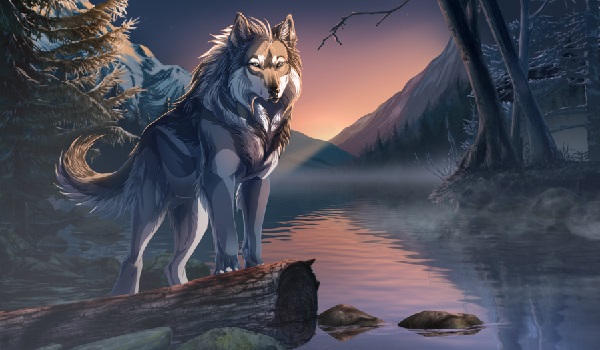 Wolf by Lake